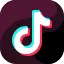 tiktok icon