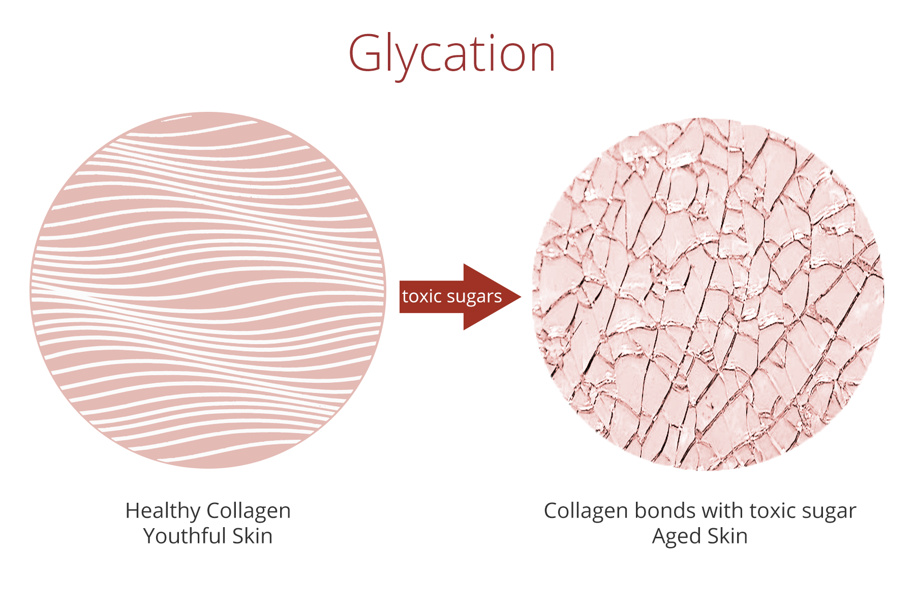 quá trình glycation phá hủy cấu trúc collagen